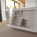 Agriturismo Verdecielo