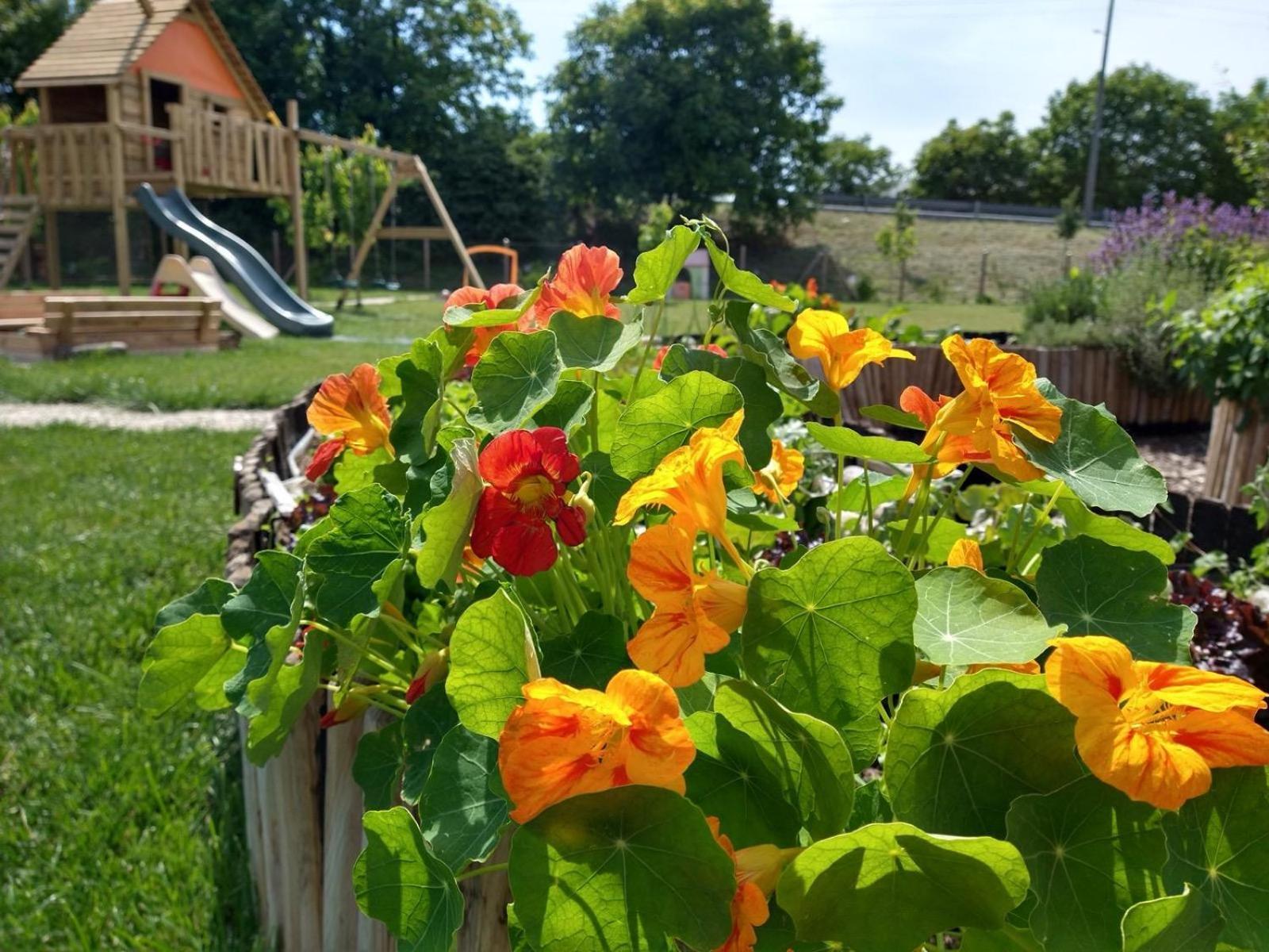 Farm stay Verdecielo Padova